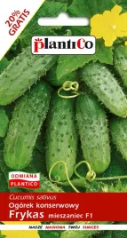 ogorek-gruntowy-f1-frykas-6-g-plantico