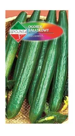 ogorek-pod-oslony-dukat-mieszaniec-1-g-spojnia