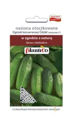 ogorek-konserwowy-cezar-f1-nasiona-otoczkowane-50-nasion-plantico