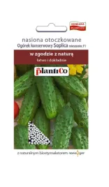 ogorek-konserwowy-soplica-f1-nasiona-otoczkowane-50-nasion-plantico