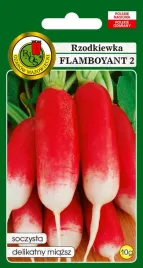rzodkiewka-flamboyant-10-g-pnos