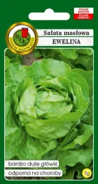 salata-maslowa-ewelina-1-g-pnos