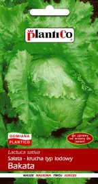 salata-krucha-bakata-1-g-plantico