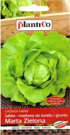 salata-glowiasta-marta-1-g-plantico