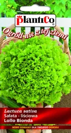 salata-lisciowa-lollo-bionda-0-5-g-plantico