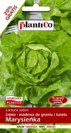 salata-glowiasta-pod-oslony-marysienka-1-2-g-plantico