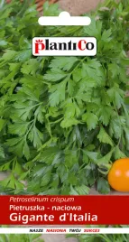 pietruszka-naciowa-gigante-d-italia-5-g-plantico