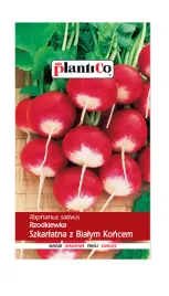 rzodkiewka-szkarlatna-z-bialym-koncem-10-g-plantico