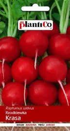 rzodkiewka-krasa-10-g-plantico