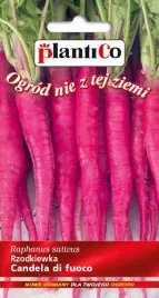 rzodkiewka-candela-di-fuoco-5-g-plantico