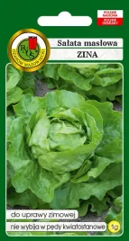 salata-maslowa-zimujaca-zina-1-g-pnos