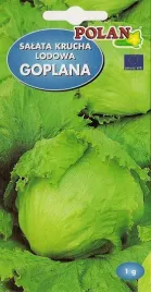 salata-goplana-1-g-polan