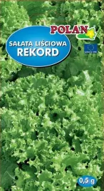 salata-rekord-0-5-g-polan