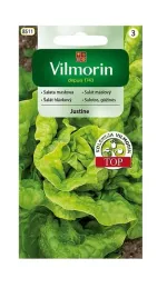 salata-maslowa-justine-05-g-vilmorin