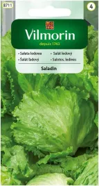 salata-saladin-02-g-vilmorin-lodowa