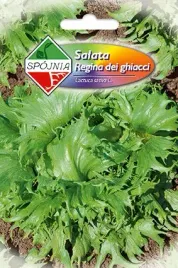 salata-krucha-regina-dei-ghiacchi-1-g-spojnia