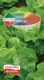 salata-maslowa-owacja-1-g-spojnia