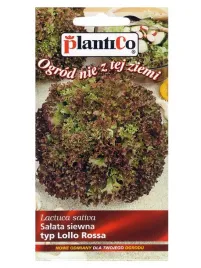 salata-lisciowa-lollo-rossa-05-g-plantico
