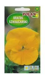 bratek-szwajcarski-zlotozolty-05-g-polan