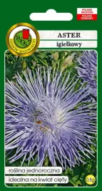 aster-igielkowy-niebieski-08-g-pnos