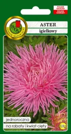 aster-igielkowy-czerwonolososiowy-08-g-pnos