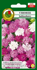 ubiorek-baldaszkowy-lila-1-g-pnos