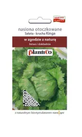 salata-kinga-nasiona-otoczkowane-150-nasion-plantico