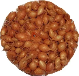 cebula-dymka-sturon-05-kg