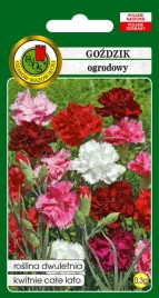 gozdzik-ogrodowy-grenadin-mieszany-0-3-g-pnos