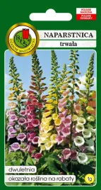 naparstnica-trwala-gloxiniaelora-mieszana-1-g-pnos