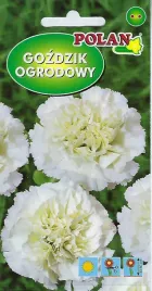 gozdzik-ogrodowy-grenadin-bialy-0-5-g-polan