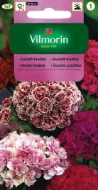 gozdzik-brodaty-pelnokwiatowy-mix-05-g-vilmorin