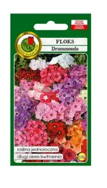 floks-drummonda-mieszany-08-g-pnos-ozarow