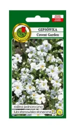 gipsowka-letnia-covent-garden-biala-2-g-pnos-ozarow