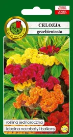 celozja-niska-grzebieniasta-mieszana-03-g-pnos