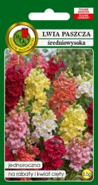 lwia-paszcza-srednio-wysoka-mieszana-0-5-g-pnos