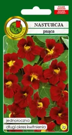 nasturcja-pnaca-scharlachglanz-czerwona-2-g-pnos