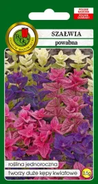 szalwia-powabna-mieszana-0-5-g-pnos