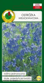 ostrozka-wielkokwiatowa-niebieska-05-g-pnos