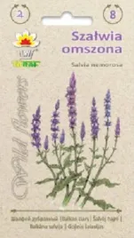 szalwia-omszona-nasiona-02-g-miododajna