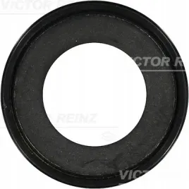 simer-polosi-peugeot-299x47x113-victor-reinz-81-38027-00