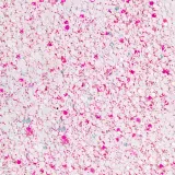 pylek-do-paznokci-rush-effect-allepaznokcie-1-g-nr-6