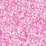 pylek-do-paznokci-rush-effect-allepaznokcie-1-g-nr-7