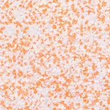 pylek-do-paznokci-rush-effect-allepaznokcie-1-g-nr-10