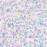 pylek-do-paznokci-rush-effect-allepaznokcie-1-g-nr-15