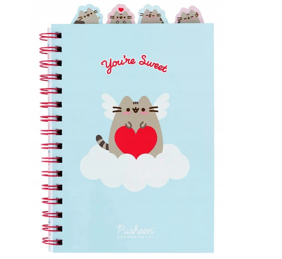 pusheen-notes-z-ozdobnymi-znacznikami-stan-nowy