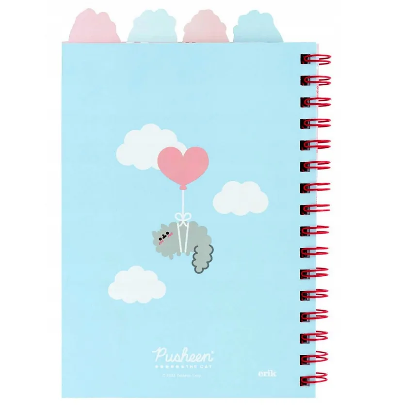 pusheen-notes-z-ozdobnymi-znacznikami