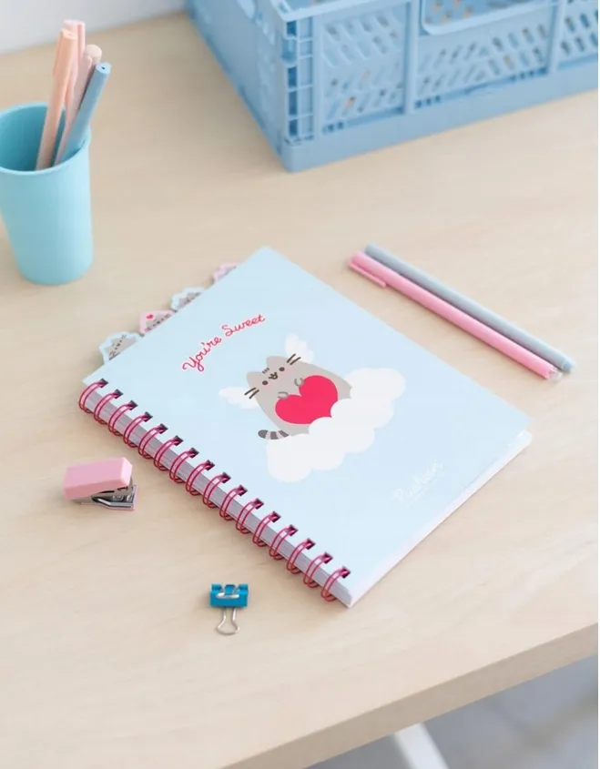 pusheen-notes-z-ozdobnymi-znacznikami