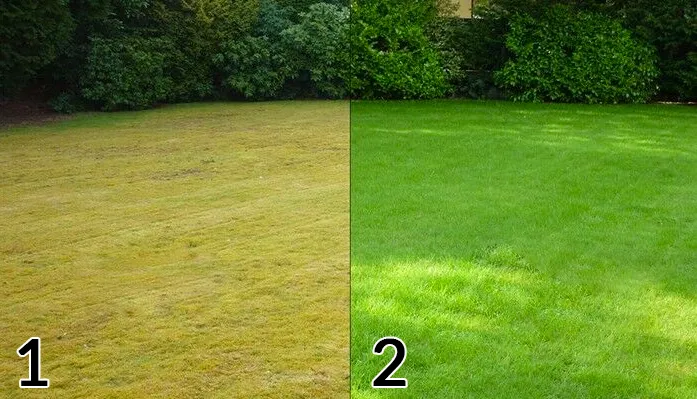 aerator-elektryczny-areator-wertykulator-aeracja-3w1-z-koszem-2500w-agreeno-szerokosc-robocza-32-cm