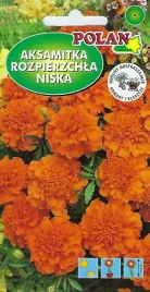 aksamitka-niska-pelna-amulet-1-g-polan